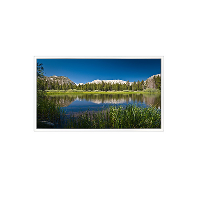 Buon prezzo 65 pollici 3840*2160 DV650QUB-R01 1.07B 72% NTSC Pannello LCD in linea