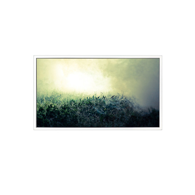 Buon prezzo Dispositivo LCD originale EV101WUM-N80 1920*1200 10,1 pollici 1000 cd/m2 in linea