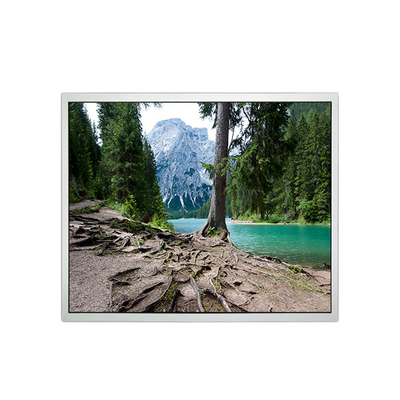 Buon prezzo 1280*1024 19,0 pollici EV190E0M-N10 1000:1 LCD in linea