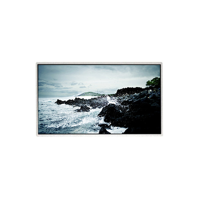 Buon prezzo 1366*768 HF236WHB-F20 Pannello LCD da 23,6 pollici in linea