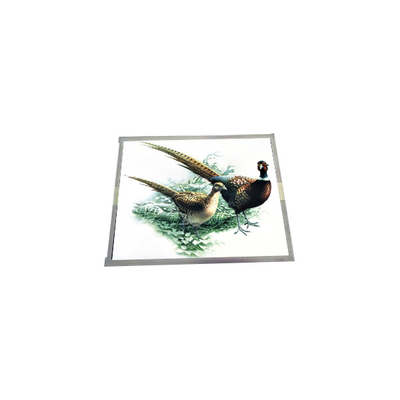 Buon prezzo 15.0 pollici LQ150X1DG11B TFT-LCD Screen Display Panel in linea