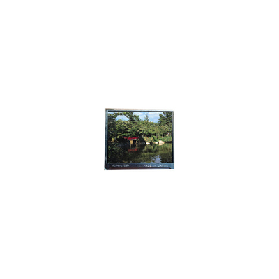 Buon prezzo Nuovo schermo LCD HSD110HUW1-C00-N00 da 11,0 pollici 1200*2000 in linea