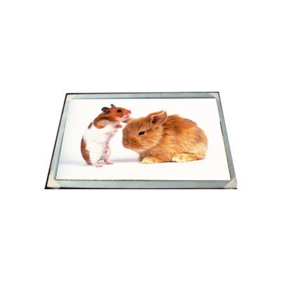 Buon prezzo LM170E03-TLG6 Modulo LCD da 17,0 pollici in linea