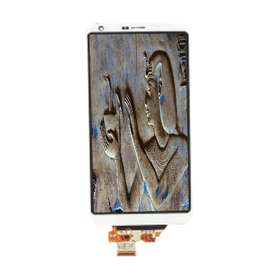 Buon prezzo LM185WH1-TLFE 18,5 pollici pannello CCFL TFT-LCD in linea