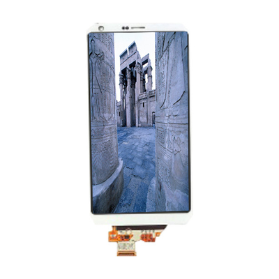 Buon prezzo LM185WH2-TJBC Pannello LCD TN da 18,5 pollici in linea