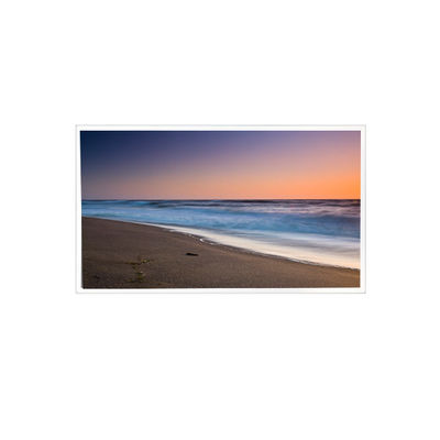 Buon prezzo TDA101-001V01 10,1 pollici 1920*1080 3S14PWLED LCD per alta luminosità esterna in linea