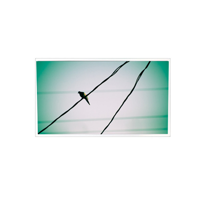 Buon prezzo TDA104-001V01 10,4 pollici 1024*768 1000:1 LVDS LCD Display per apparecchiature industriali in linea