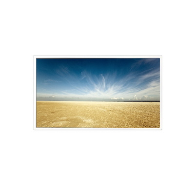 Buon prezzo 800*1280 10,1 pollici TV101WXM-NM0 500 cd/m2 Pannello LCD per Pad Tablet in linea