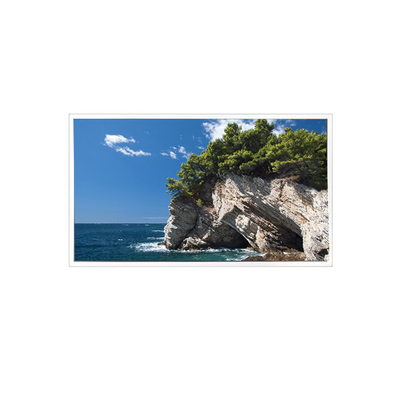 Buon prezzo TV101WXM-NM1 800*1280 10,1 pollici 39 pin 8S4PWLED pannello LCD in linea