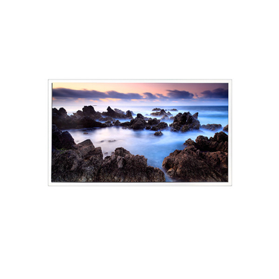 Buon prezzo TV201U0M-N00 20,1 pollici 1600*1200 1000:1 Display LCD in linea