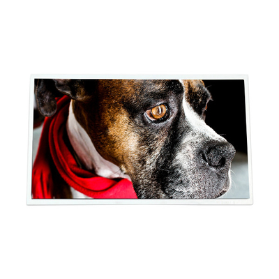 Buon prezzo M170EGE-L20 Rev.C3 17,0 pollici 1280*1024 12S4PWLED LCD Screen Panel in linea