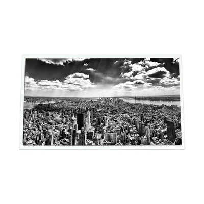Buon prezzo 22.0 pollici G220SW01 V1 1680*1050 2000:1 LVDS LCD Screen Display in linea