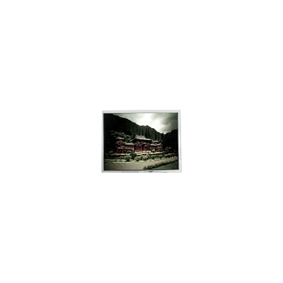 Buon prezzo 480*640 PD050VX4 5,0 pollici 262K 400:1 Pannello LCD in linea