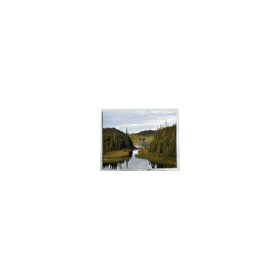 Buon prezzo 5.0 pollici PD050VX8 640*480 400: 1 262K LCD Display in linea