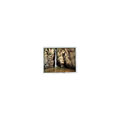 Buon prezzo 800*600 PD104SLJ 10,4 pollici 400 cd/m2 schermo LCD a 60 Hz in linea