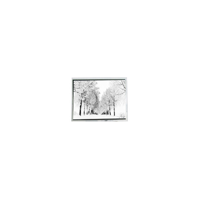 Buon prezzo PM070WX8 480*800 7.0 pollici schermo LCD per alta luminosità esterna in linea