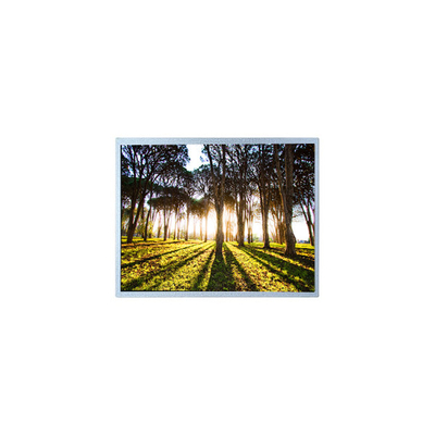 Buon prezzo Vendita a caldo 800*480 PM100WX2 10,0 pollici schermo LCD per industria in linea