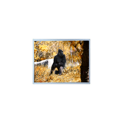 Buon prezzo Pannello LCD originale da 7 pollici 800*480 PW070WX2 in linea