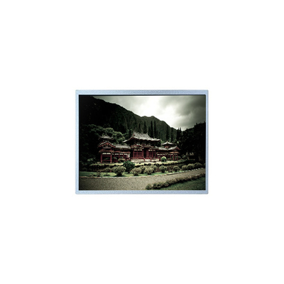 Buon prezzo 6.4 pollici V16C6448AF 640*480 262K LCD Monitor in linea