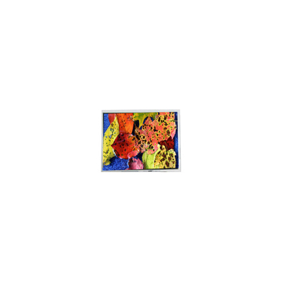 Buon prezzo 800*600 AM-80060K3TMQW-02H 10,4 pollici LVDS LCD Display in linea