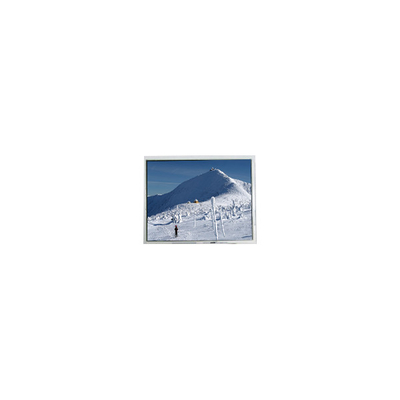 Buon prezzo Display LCD originale da 5,7 pollici AM-320240N1TMQW-00H-F(R) 320*240 in linea