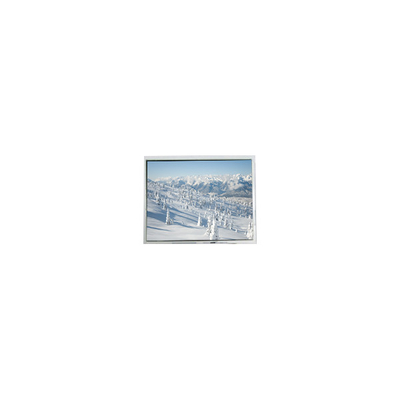 Buon prezzo AM-320240NTMCW-T00H-A(R) 5,7 pollici 320*240 Touch LCD Display in linea