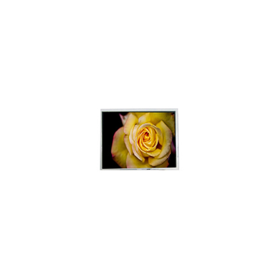 Buon prezzo Nuovo schermo LCD da 5,7 pollici AM-320240NTMQW-00H-F 320*240 in linea