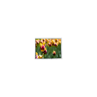 Buon prezzo 640*480 5,7 pollici AM-640480GJTNQW-TA0H schermo LCD in linea