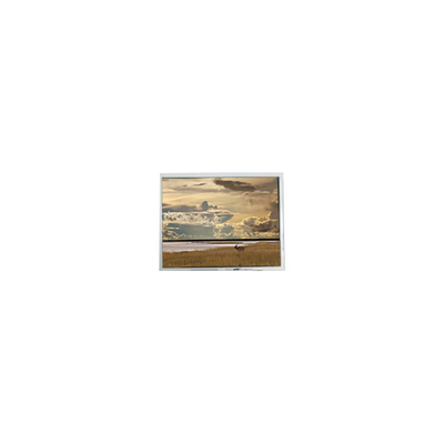 Buon prezzo 640*480 5,7 pollici AM-640480GSTMQW-T00H Display LCD touch in linea