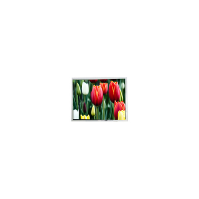 Buon prezzo 8.9 pollici AM-800480ANTMQW-A0H 800 * 480 schermo LCD Display in linea