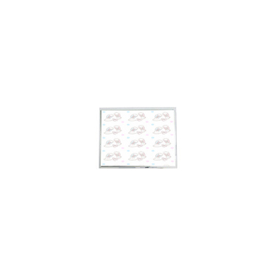 Buon prezzo MiNi 800*480 5,0 pollici AM-800480KAZTMQW-15H LVDS Display LCD in linea