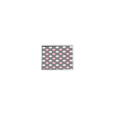 Buon prezzo AM-800480L6TMQW-00H 800*480 5,0 pollici 800 cd/m2 schermo LCD in linea