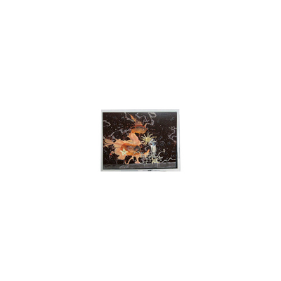 Buon prezzo AM-800480L6TZQW-TN0H-I 5,0 pollici 800*480 LCD Display Panel in linea