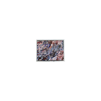 Buon prezzo MiNi 5,0 pollici 800*480 AM-800480N3TZQW-70H 16,7M schermo LCD in linea
