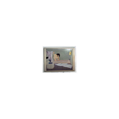 Buon prezzo 800*480 5,0 pollici AM-800480NATZQW-00H Display LCD in linea