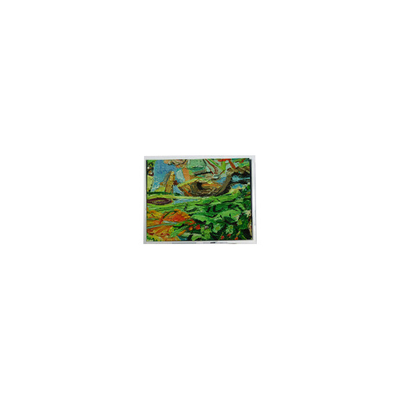 Buon prezzo 800*480 5,0 pollici AM-800480NGTZQW-01H 45 pin WLED LCD Screen Panel in linea