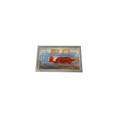 Buon prezzo Hot Sell 800*480 AM-800480S5LMQW-00 7,0 pollici 1000: 1 pannello LCD in linea