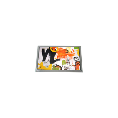 Buon prezzo Vendita a caldo 800*600 AM-800600M4TMQW-13H LVDS Pannello schermo TFT-LCD in linea