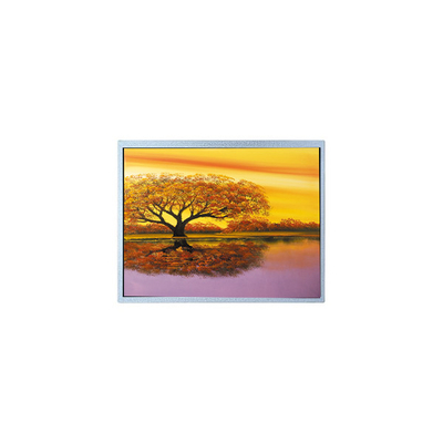 Buon prezzo AM-1024768J3TRQW-A0 1024*768 8.0 pollici TFT LCD Display Panel in linea