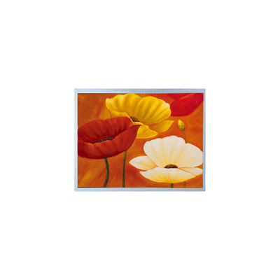 Buon prezzo AM-1024768QTMQW-00H 15.0 pollici 1024*768 20 pin TFT LCD Screen Panel in linea