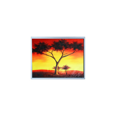 Buon prezzo AM-1024768Z6TZQW-00H 1024*768 12,1 pollici 1300 cd/m2 schermo LCD TFT in linea