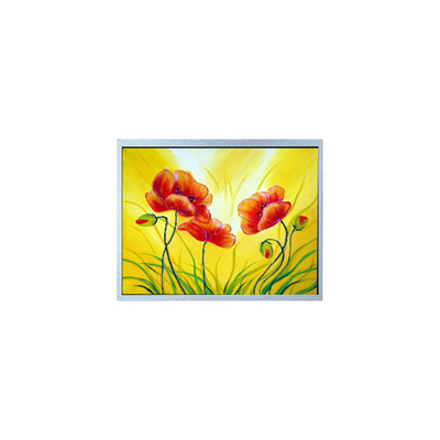 Buon prezzo AM-1280800W2TZQW-00H schermo LCD da 10,1 pollici per alta luminosità esterna in linea