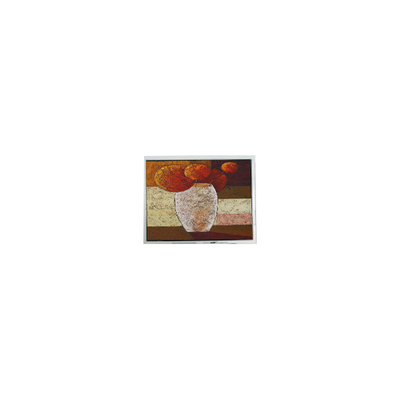 Buon prezzo Vendita a caldo Modulo LCD da 5,3 pollici 256*128 DMF682AF in linea