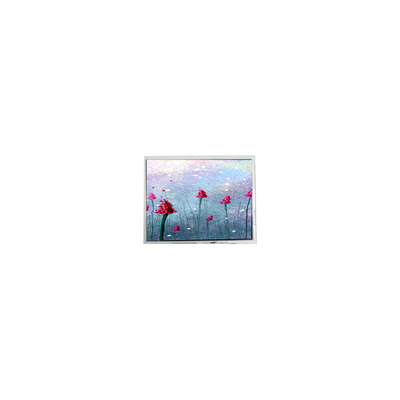 Buon prezzo 5.2 pollici DMF5005N-SEW-ABE-CP 240 * 64 70Hz schermo LCD in linea
