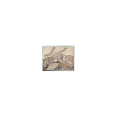 Buon prezzo Nuovo schermo LCD da 5,2 pollici 240*64 DMF5005NYJ-LY-BXE-CU 70Hz in linea