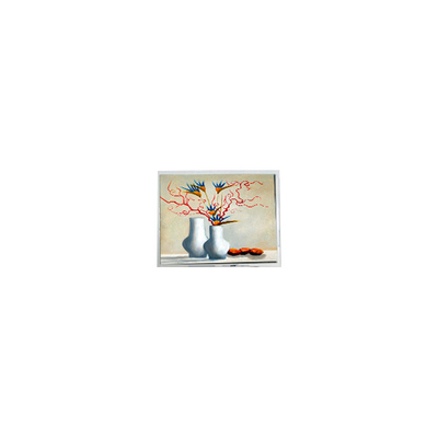 Buon prezzo NUOVO modulo di visualizzazione LCD da 5,2 pollici DMF5010NB-FW-BC 400 cd/m2 in linea