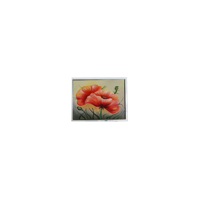 Buon prezzo DMF5010NF-FW 240*64 5,2 pollici schermo LCD in linea