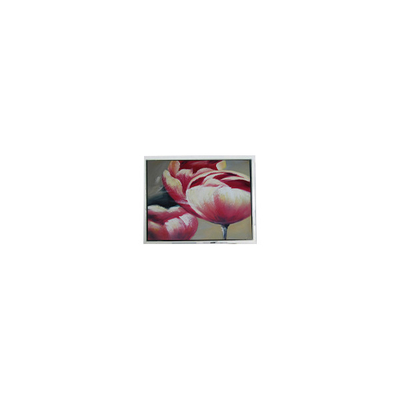 Buon prezzo Dispositivo LCD originale 240*64 DMF5010NF-FW-BE da 5,2 pollici a 70 Hz in linea