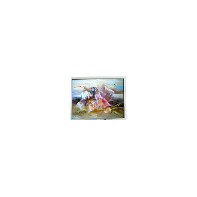 Buon prezzo Pannello LCD originale da 9,6 pollici 640*200 DMF-50036ZNFU-FW per industria in linea