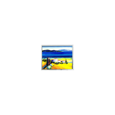 Buon prezzo Vendita a caldo 5,4 pollici DMF50773NF-FW 240*128 22 pin schermo LCD in linea